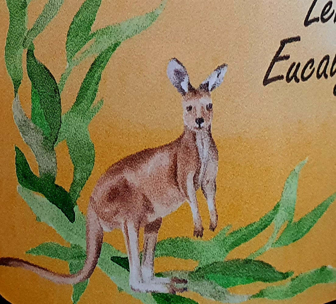 Lemongrass, Lemon Myrtle, Eucalyptus, Peppermint & Lime Organic Hand & Body Wash 500ml