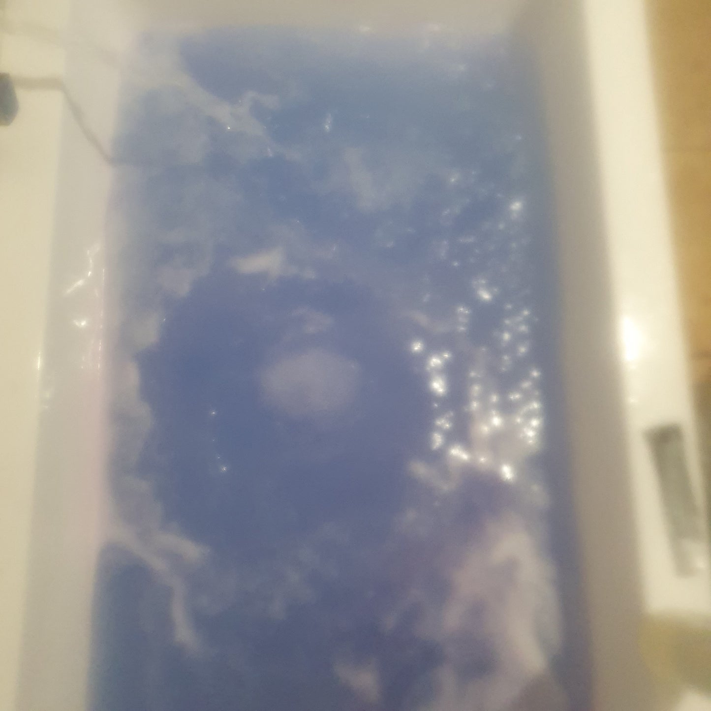 Blackberry & Vanilla Magnesium Bath Bomb