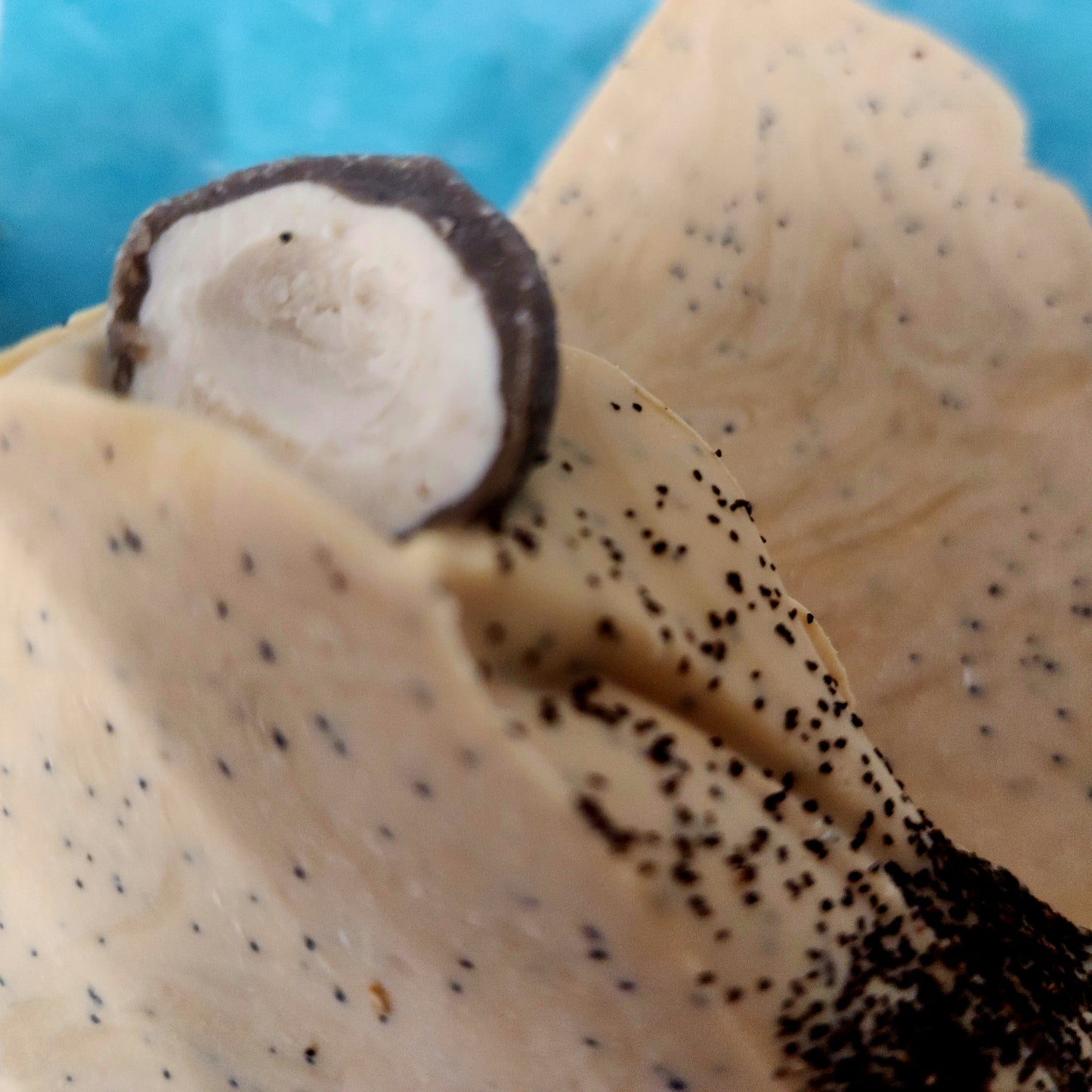 Lemongrass & Coconut with Ground Coconut Shell